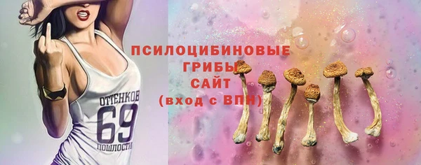 прущие грибы Володарск