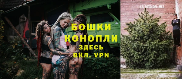 прущие грибы Володарск
