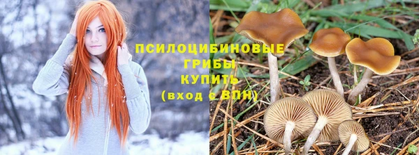 прущая мука Волоколамск
