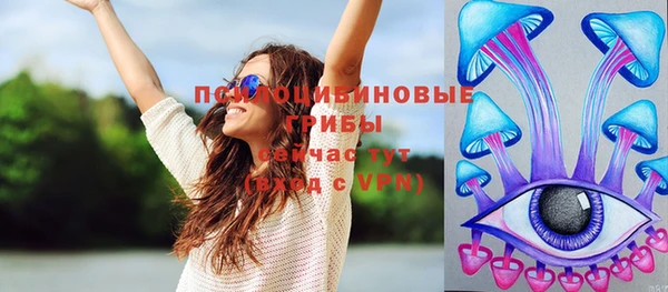 прущие грибы Володарск