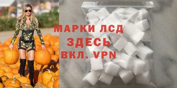 прущие грибы Володарск