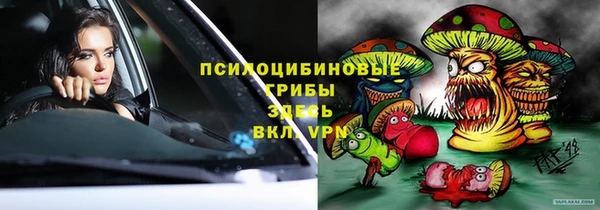 прущие грибы Володарск