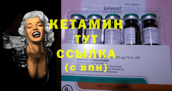 прущие грибы Володарск